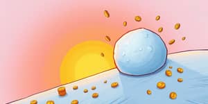 The Power of Compounding: Your Secret Weapon